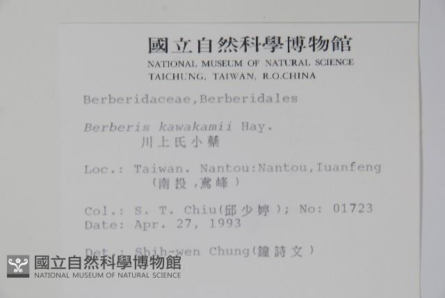 臺灣小蘗藏品圖，第2張