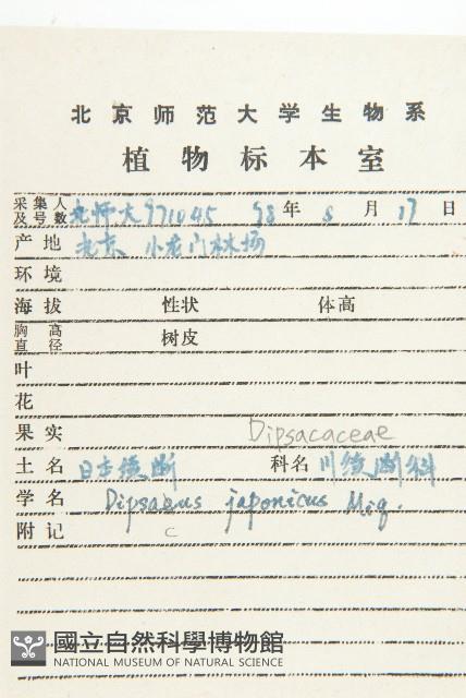 續斷藏品圖，第2張