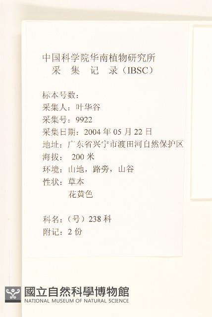 細葉苦實藏品圖，第2張