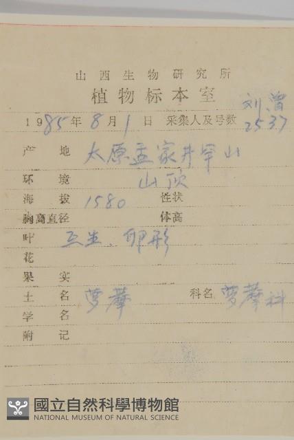 南蛇藤藏品圖，第2張