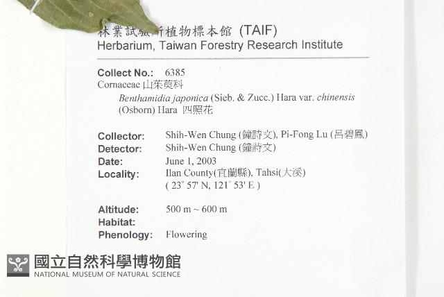 四照花藏品圖，第2張