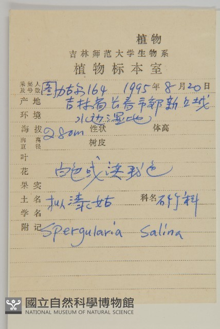 擬漆姑藏品圖，第2張