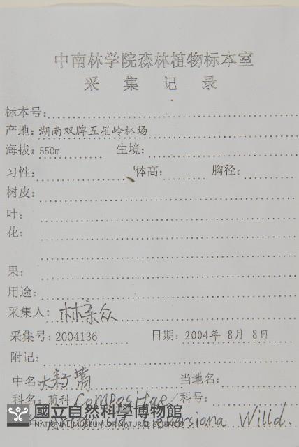 大耔蒿藏品圖，第2張