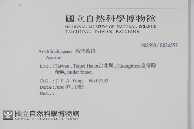 登錄號:S036557藏品圖，第2張