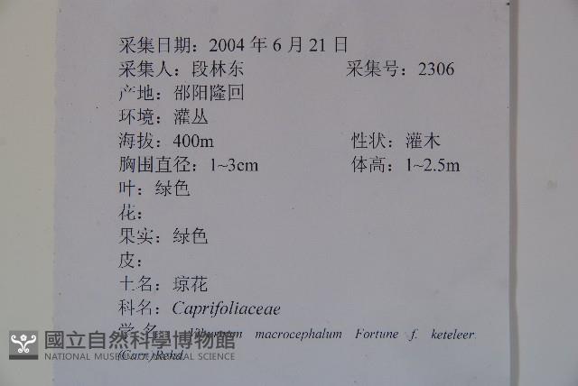 登錄號:S112557藏品圖，第2張