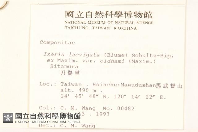 刀傷草藏品圖，第2張