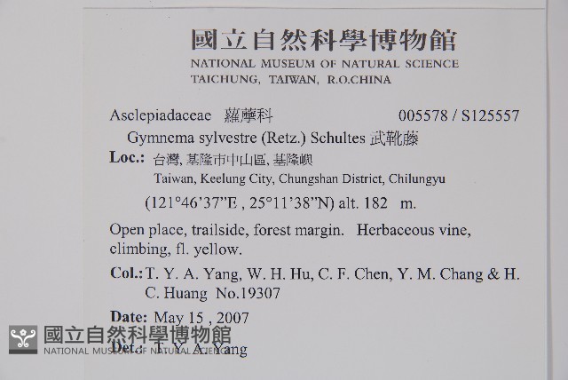 武靴藤藏品圖，第2張