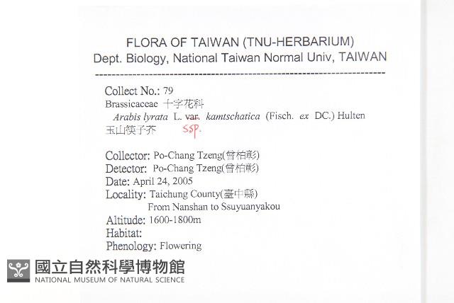 玉山筷子芥藏品圖，第2張