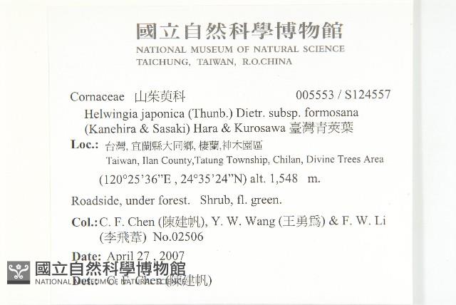 臺灣青莢葉藏品圖，第2張