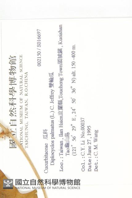 雙輪瓜藏品圖，第2張