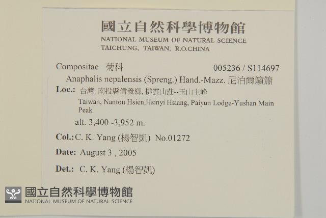 尼泊爾籟簫藏品圖，第2張