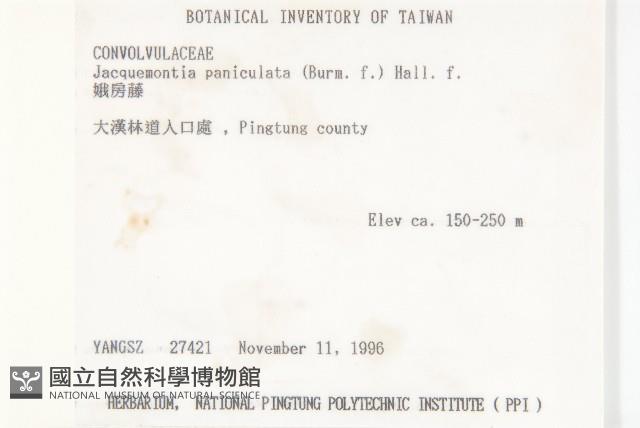 娥房藤藏品圖，第2張