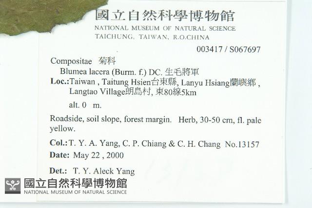 生毛將軍藏品圖，第2張