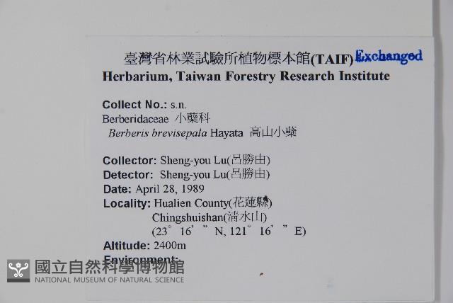 清水山小檗藏品圖，第2張