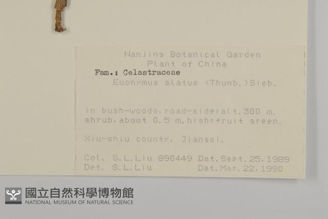 衛矛藏品圖，第2張