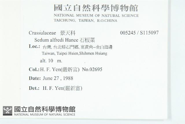 石板菜藏品圖，第2張