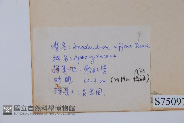 小錦蘭藏品圖，第2張