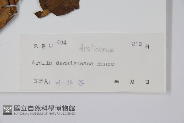 鵲不踏藏品圖，第2張