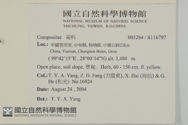 登錄號:S116797藏品圖，第2張