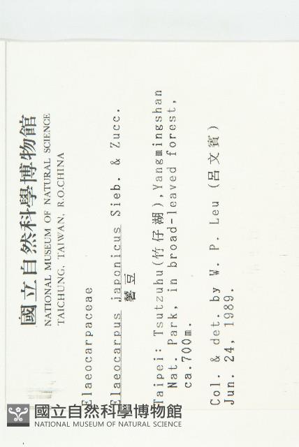 薯豆藏品圖，第2張