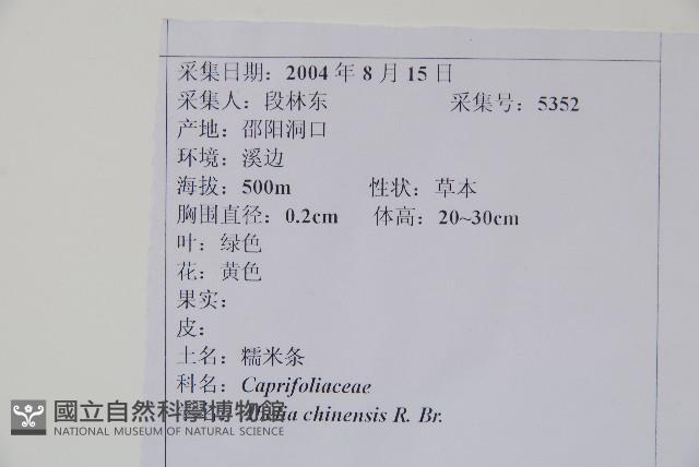 臺灣糯米條藏品圖，第2張