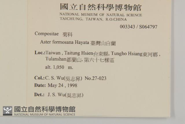 臺灣山白蘭藏品圖，第2張