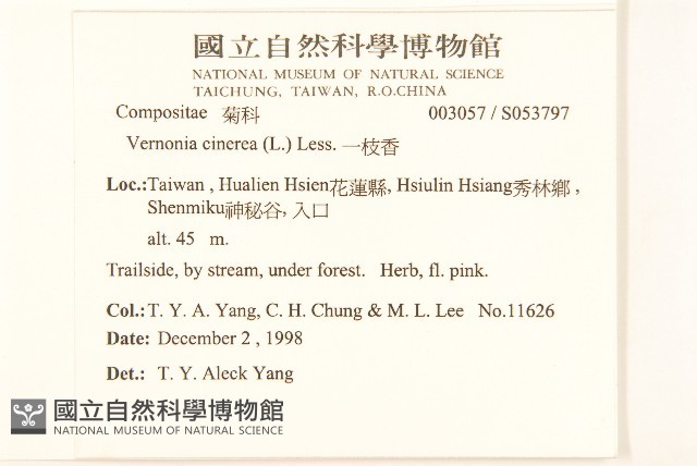 一枝香藏品圖，第2張