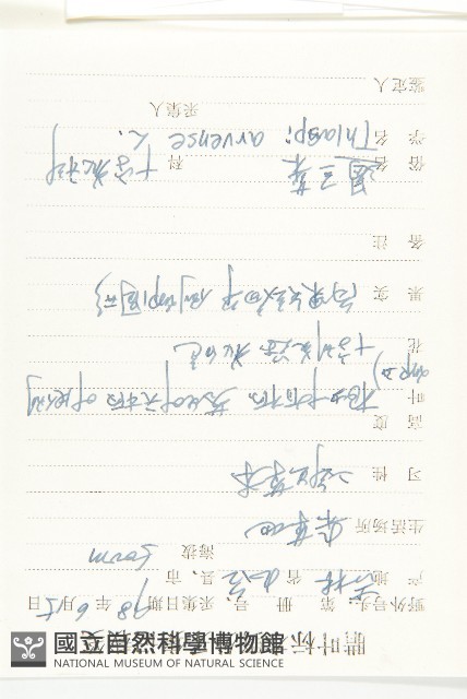 凹果菥蓂、遏藍菜藏品圖，第2張