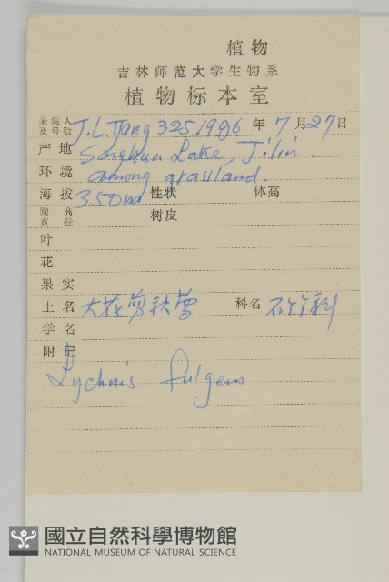 大花剪秋蘿藏品圖，第2張