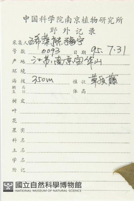 括樓藏品圖，第2張