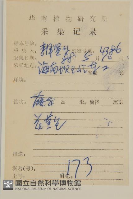 海南衛矛藏品圖，第2張