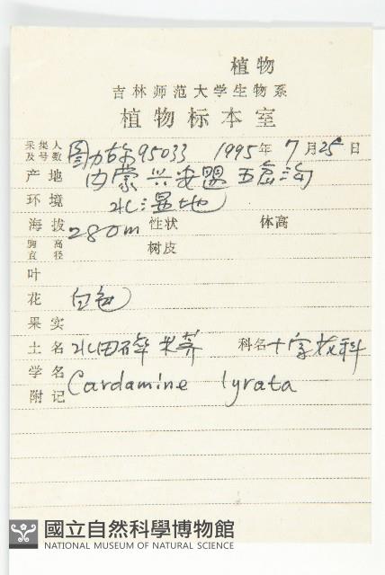 水田碎米薺藏品圖，第2張