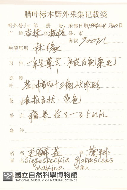 毛梗豨薟藏品圖，第2張