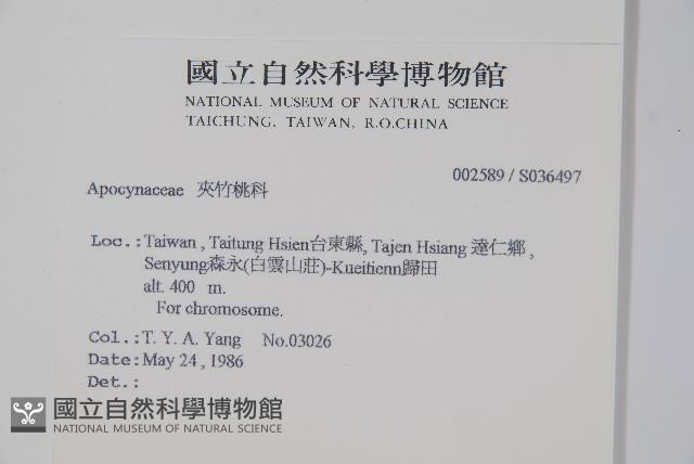 登錄號:S036497藏品圖，第2張