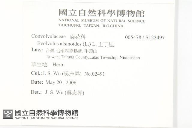 土丁桂藏品圖，第2張