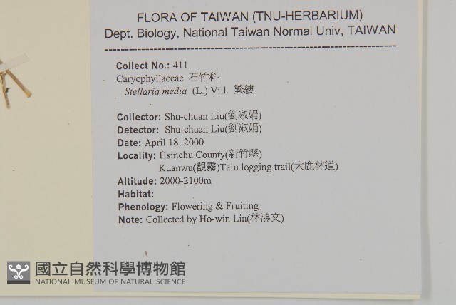繁縷藏品圖，第2張