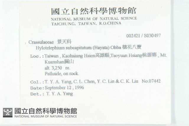 穗花八寶藏品圖，第2張