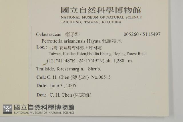 佩羅特木藏品圖，第2張