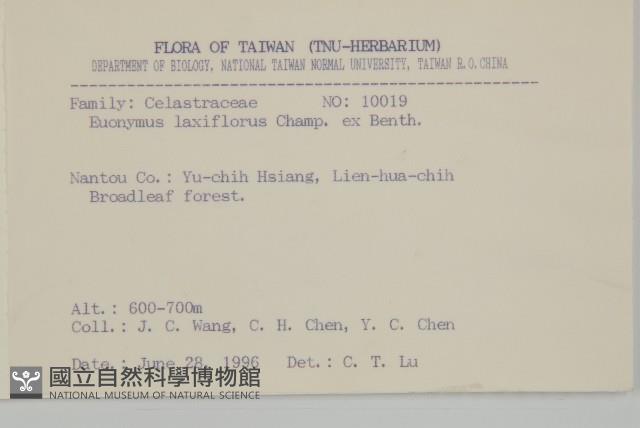 大丁黃藏品圖，第2張