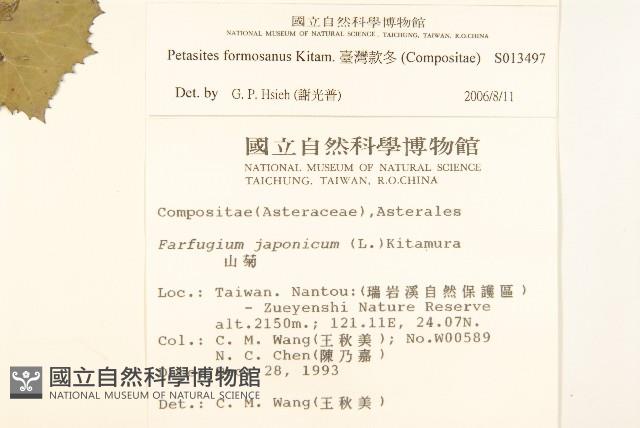 臺灣款冬藏品圖，第2張