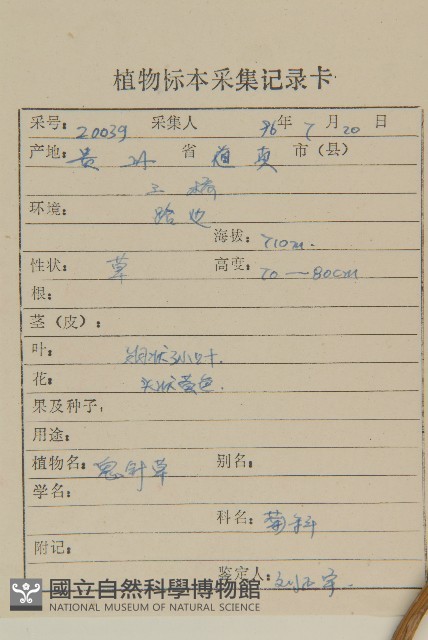 鬼針舅藏品圖，第2張