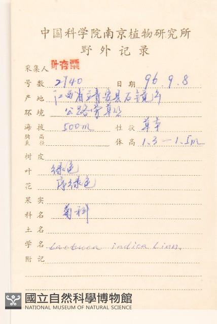 鵝仔草藏品圖，第2張