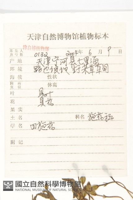 田旋花藏品圖，第2張