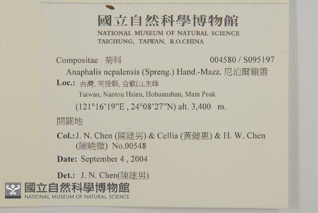 尼泊爾籟簫藏品圖，第2張