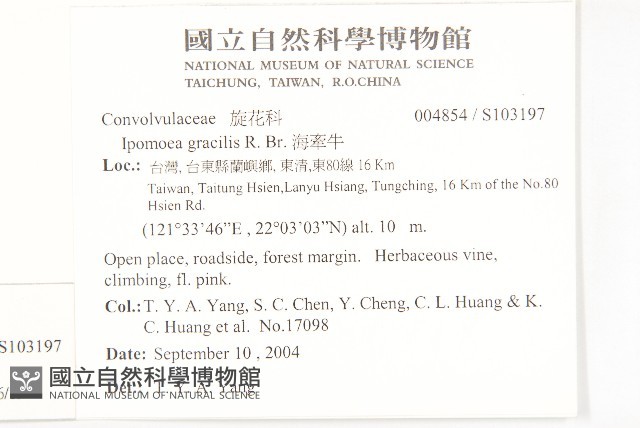 海牽牛藏品圖，第2張