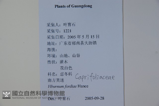 南方莢迷藏品圖，第2張