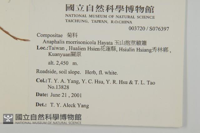 Accession Number:S076397 Collection Image, Figure 2, Total 2 Figures