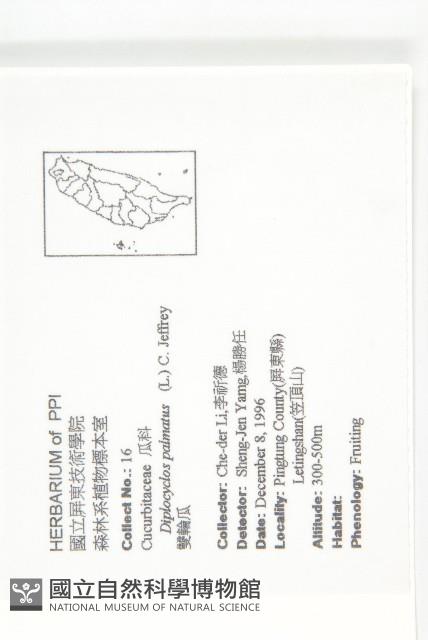 雙輪瓜藏品圖，第2張