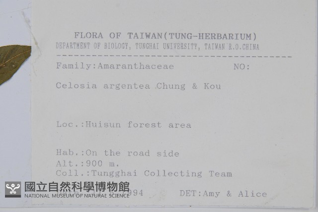 青葙藏品圖，第2張