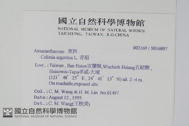 青葙藏品圖，第2張